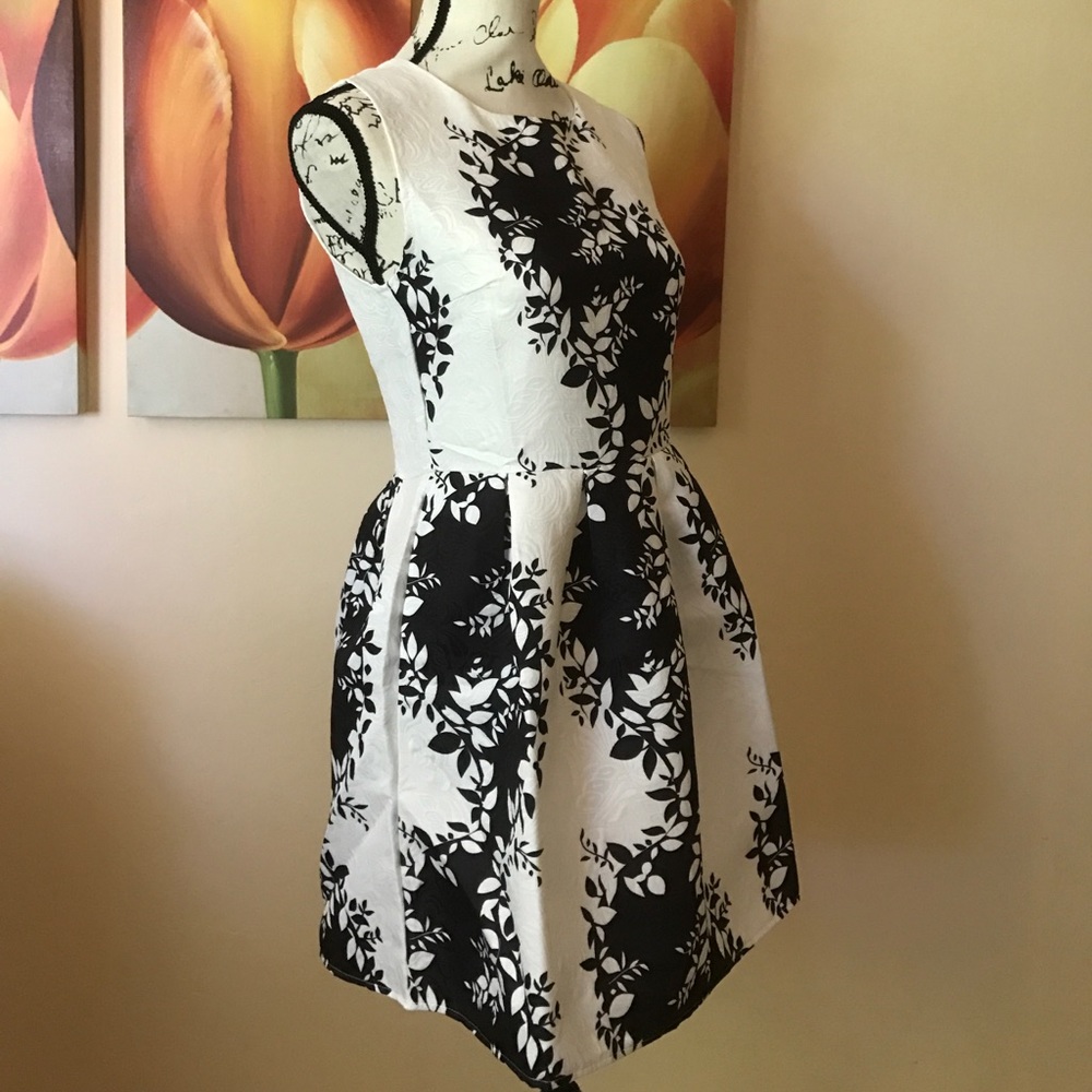 Climbing Vines Fit & Flare Dress - Picture 3 of 8