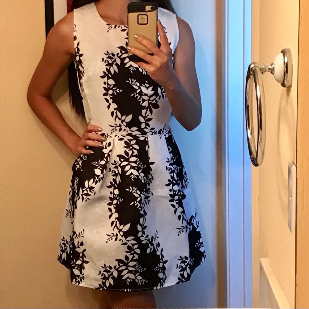 Climbing Vines Fit & Flare Dress - Picture 8 of 8