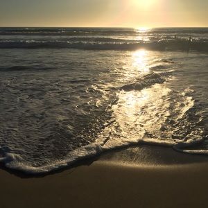 Meet your Posher, Tae'