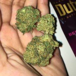 Meet your Posher, Kanani