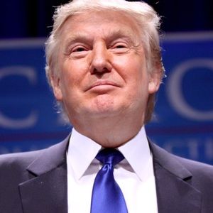 Meet your Posher, Nik