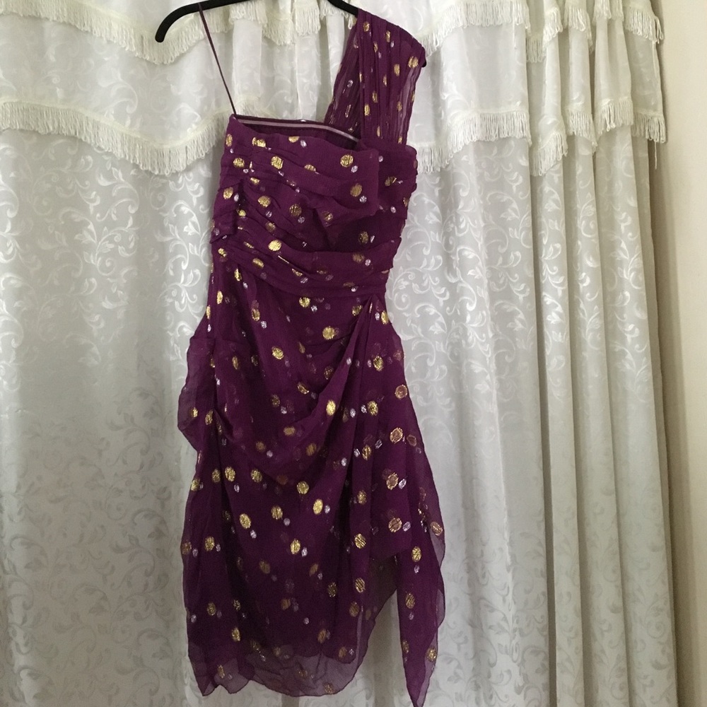 Nicole Miller corset top chiffon dress.