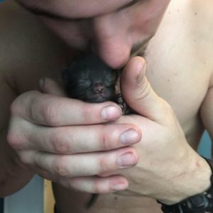 Meet your Posher, Lindsay