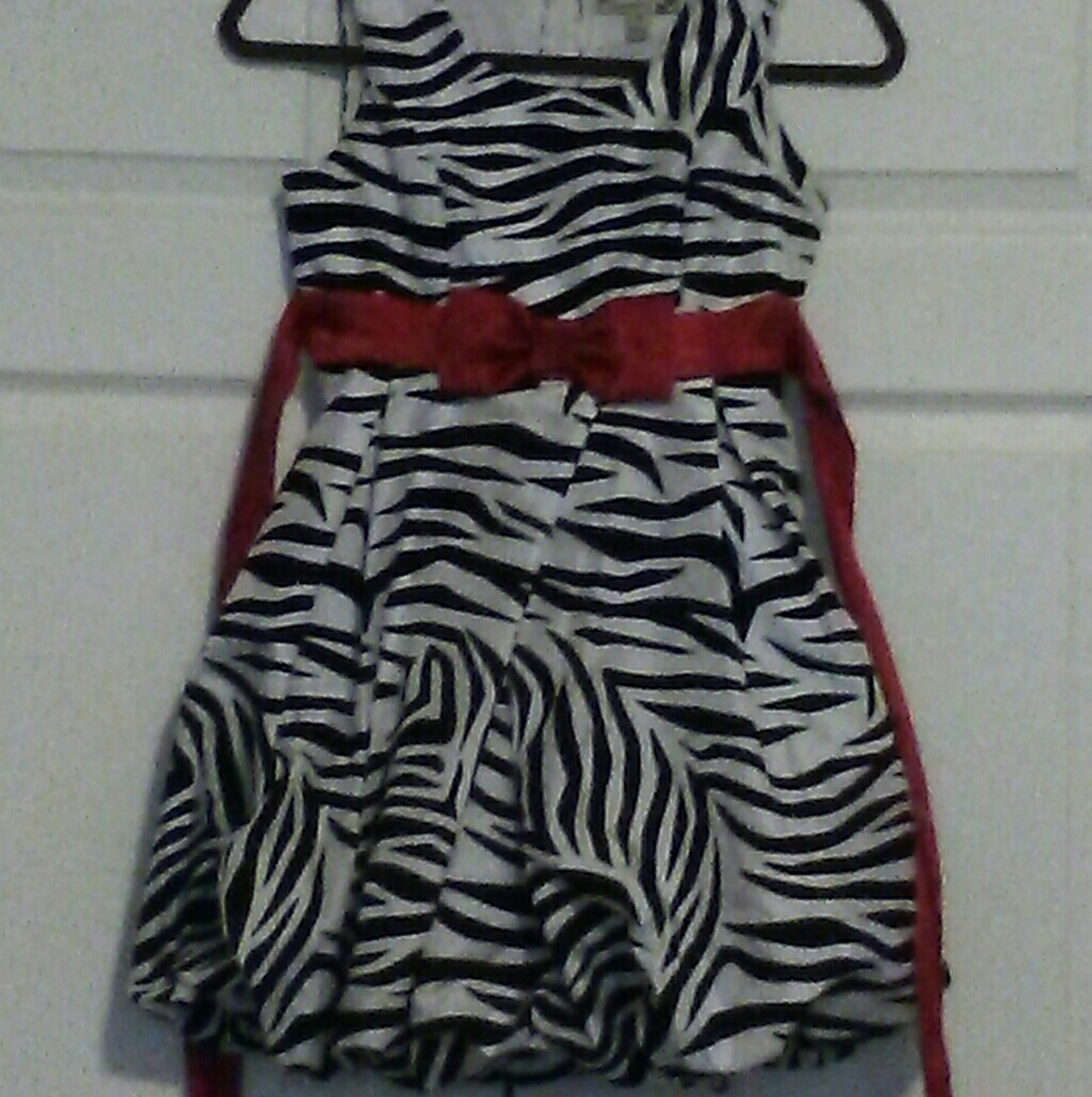 Lovely Zebra - Picture 4 of 5
