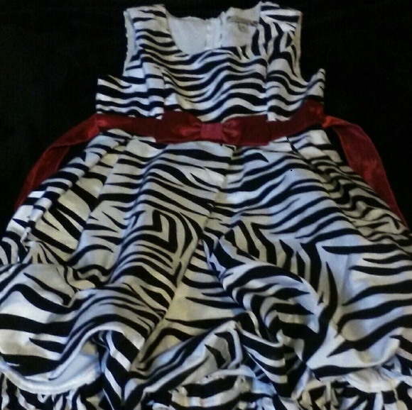 Lovely Zebra - Picture 1 of 5