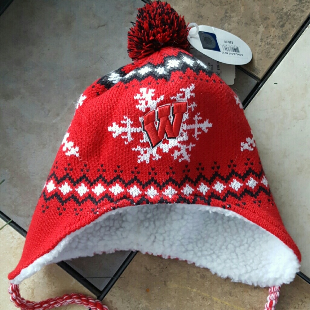 WI Badgers winter hat
