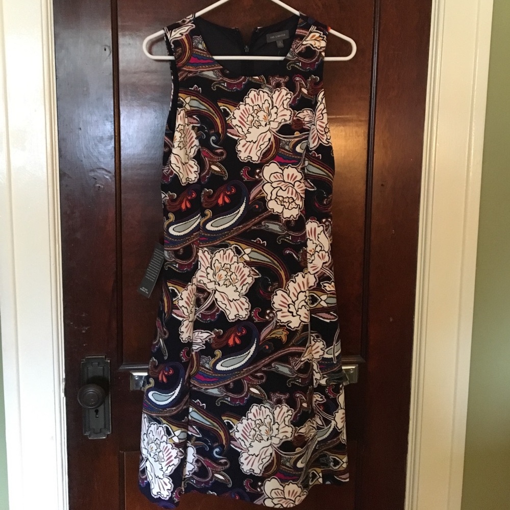 The Limited dress beautiful fabric and pattern