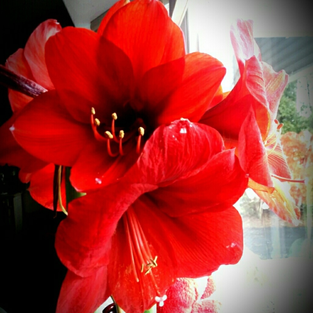 Meet your Posher, Kathy