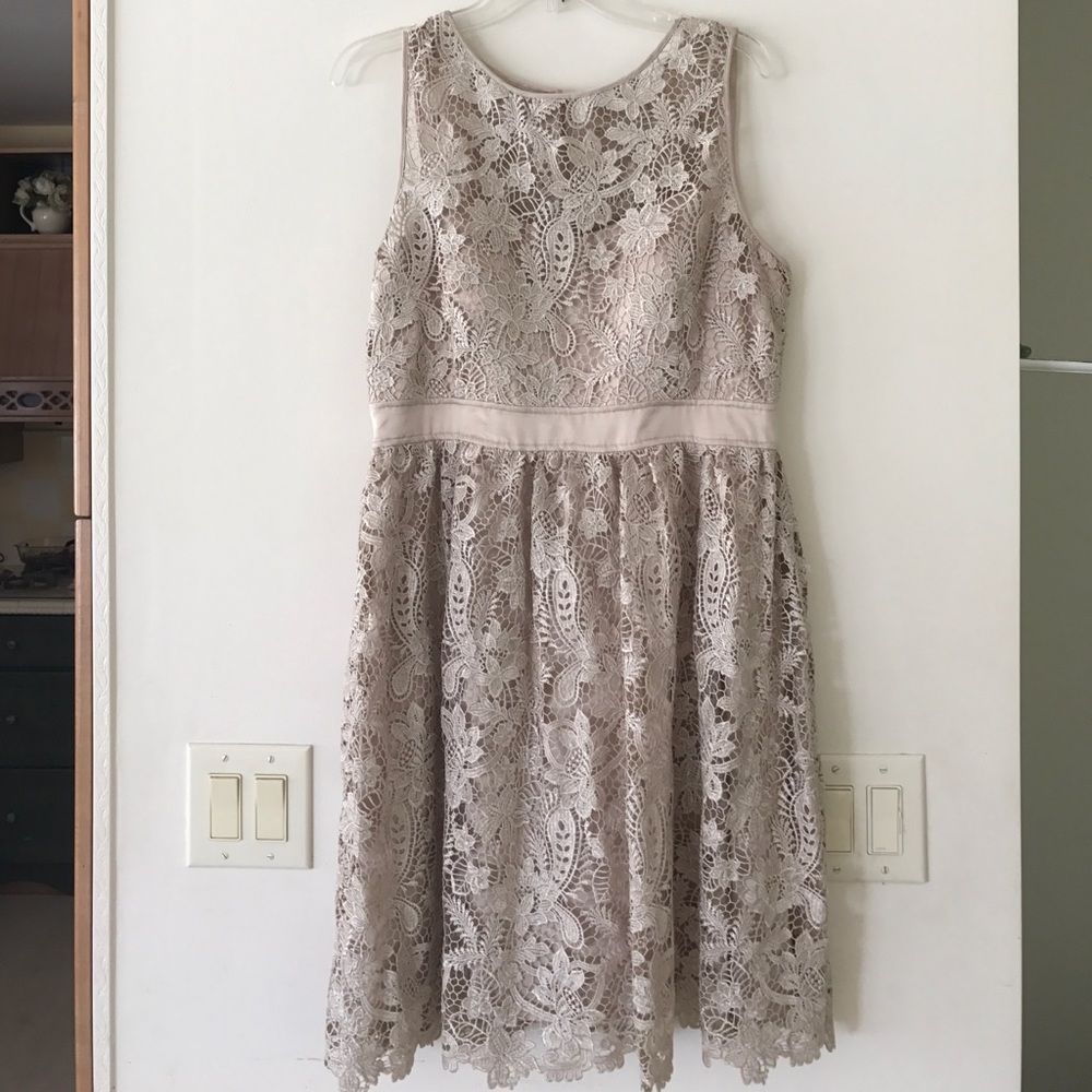 Size 14 Adrianna Papell dress
