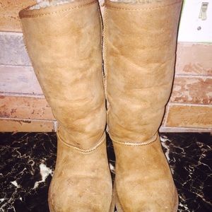 Tall chestnut uggs