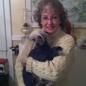 Meet your Posher, Penny