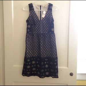 Loft black and white lace dress