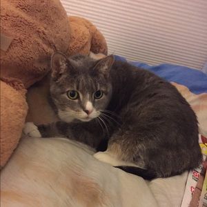 Meet your Posher, Mackenzie