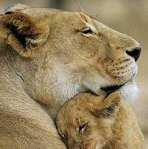 Meet your Posher, Adelaida