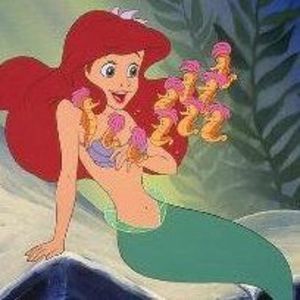 Meet your Posher, Sandy