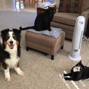 🌸🌼welcome to my closet 🍄🌝