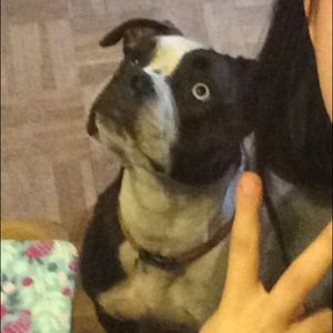 Meet your Posher, Kailey