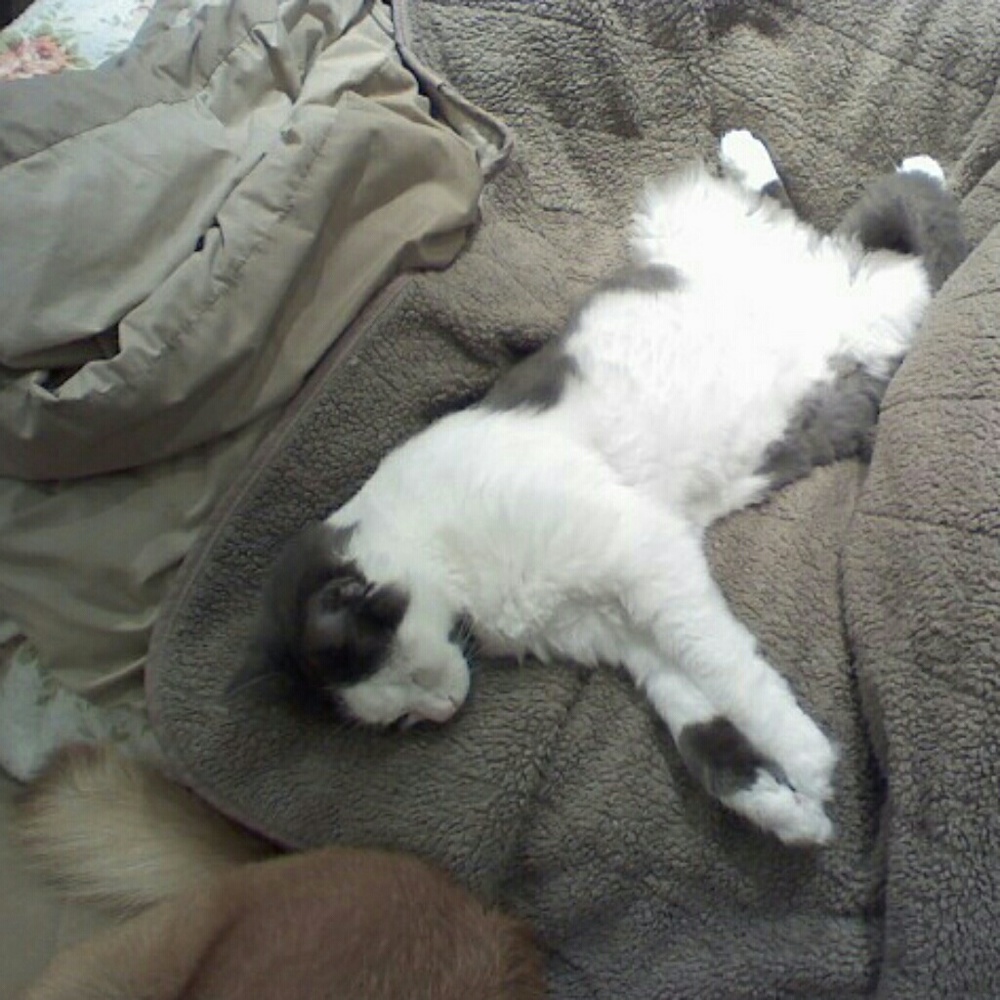 Meet your Posher, Kay