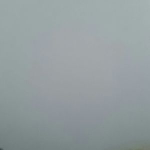 Meet your Posher, Shyla