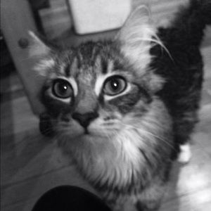 Meet your Posher, Christine