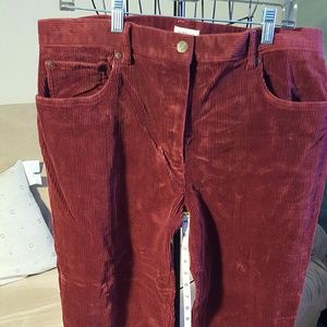 #P-003. Maroon cords. Strech style.