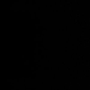 Meet your Posher, Cynthia