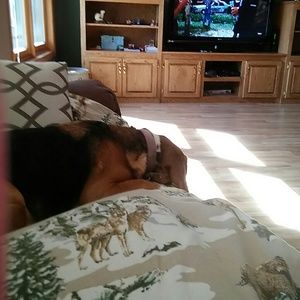 Meet your Posher, Sandy