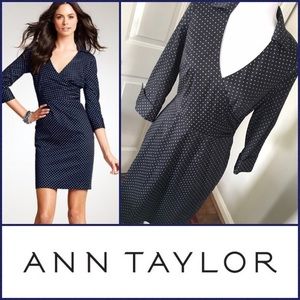 Ann Taylor Sz 4 Polka Dot Shirt Dress EUC