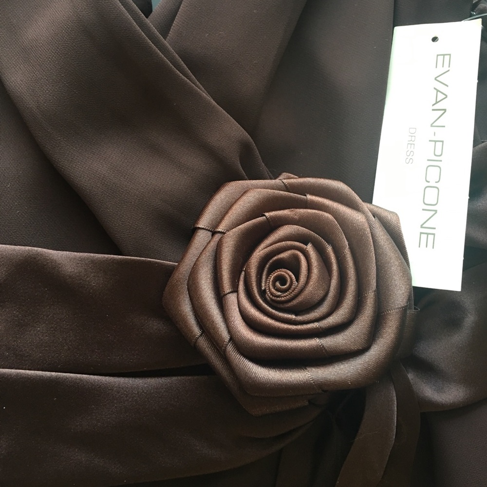 Elegant NWT Evan-Picone cocktail dress.