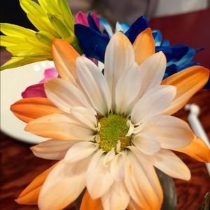 Meet your Posher, Tia