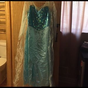 Elsa Costume