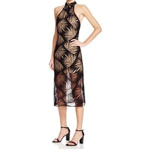 Finders Keepers Palm Party Dress