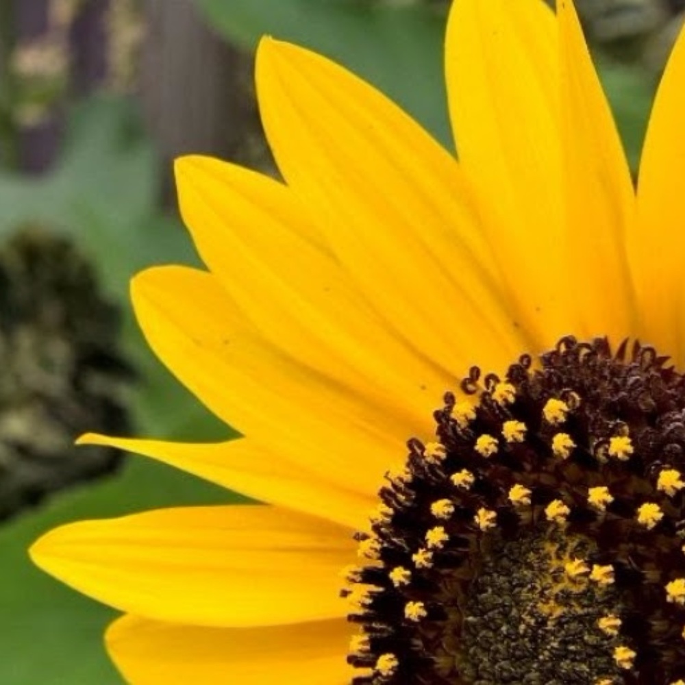 Meet your Posher, Kainaat