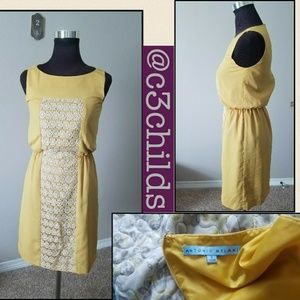 HostPick ANTONIO MELANI dress