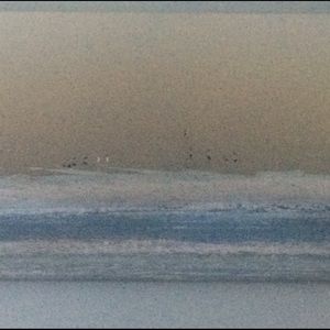 Meet your Posher, June