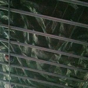 Meet your Posher, Ace