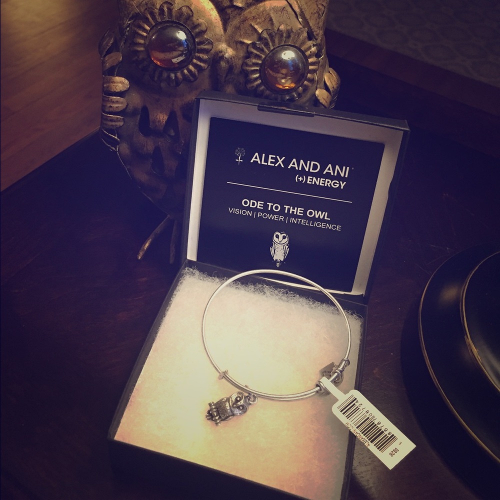 Alex and Ani 'Ode to the Owl' bangle bracelet