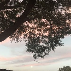 Meet your Posher, Logan