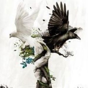 Meet your Posher, Deeann