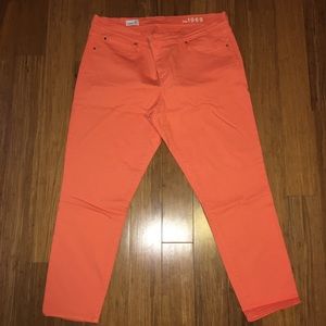 GAP plus size orange/coral jeans