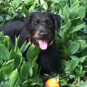 Meet your Posher, Lia