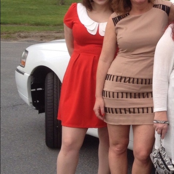 SUNNY GIRL Cherry Red Collared Dress for ModCloth - Picture 4 of 4