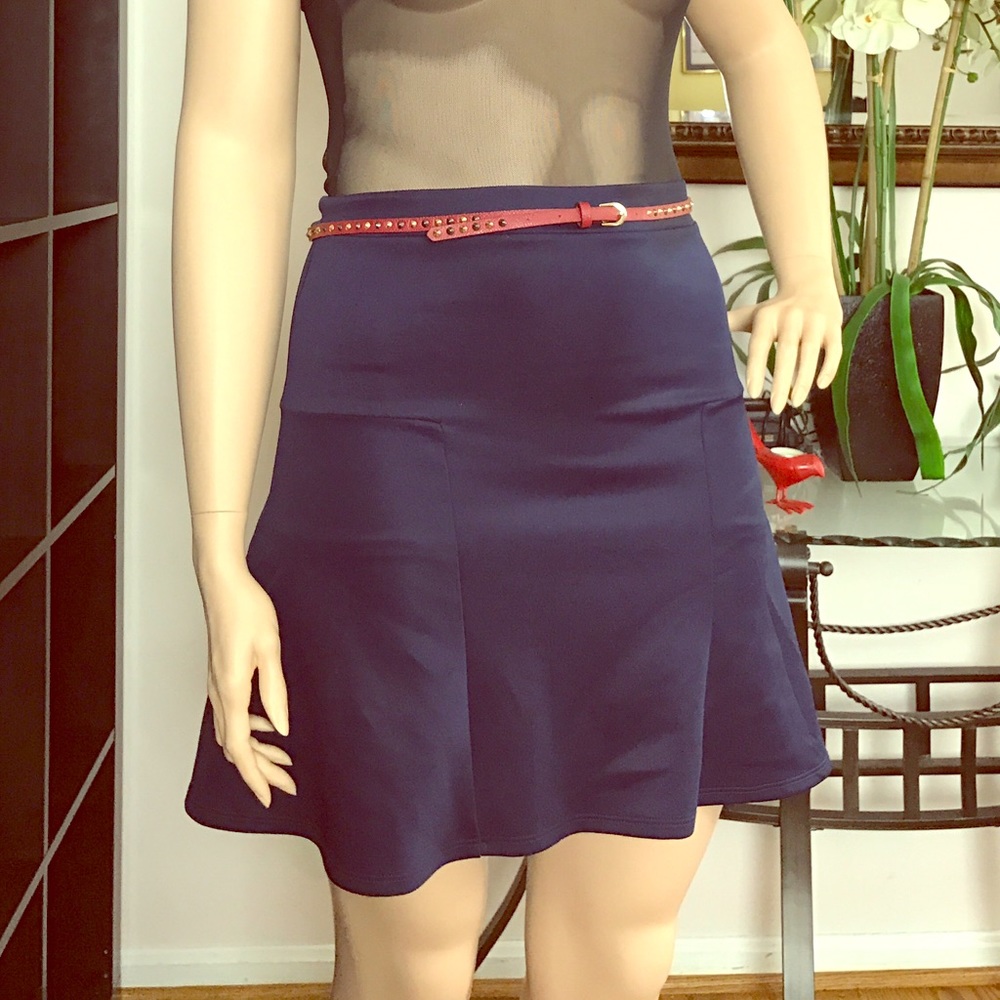 Super cute navy A-line skirt. Size L