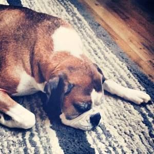 Meet your Posher, Jada