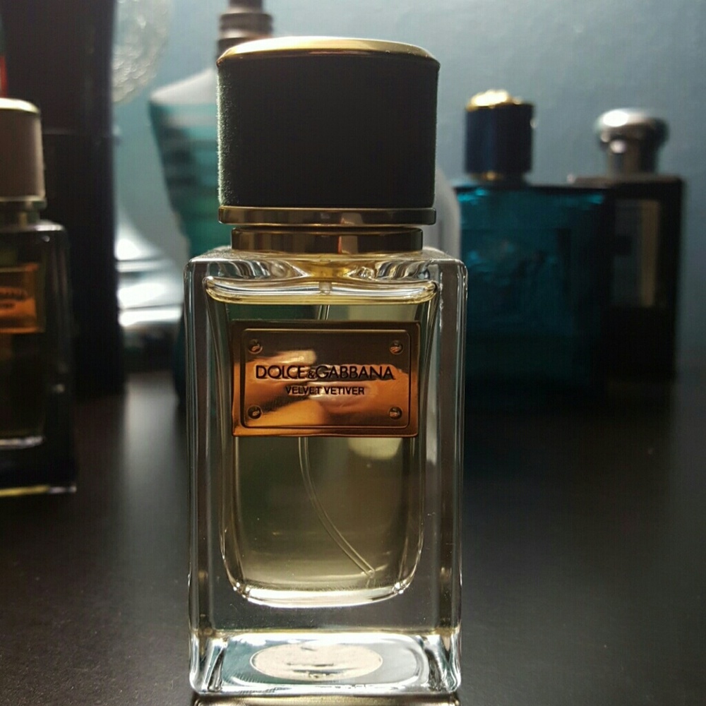 Dolce and Gabbana velvet vetvier