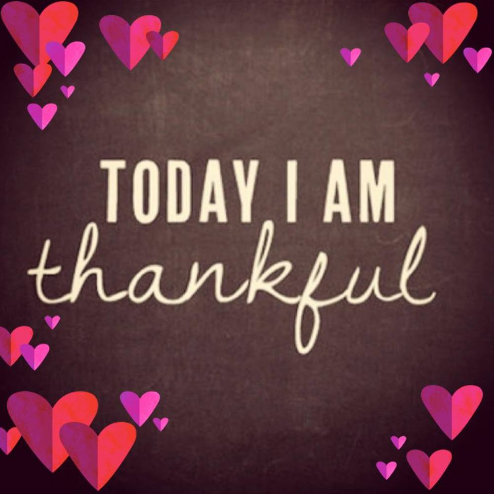 Meet your Posher, Tessa