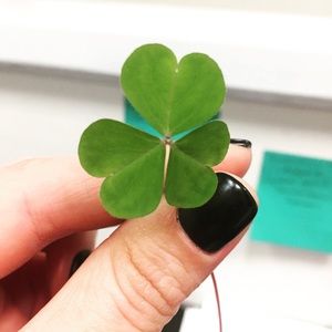 Meet your Posher, Natalie