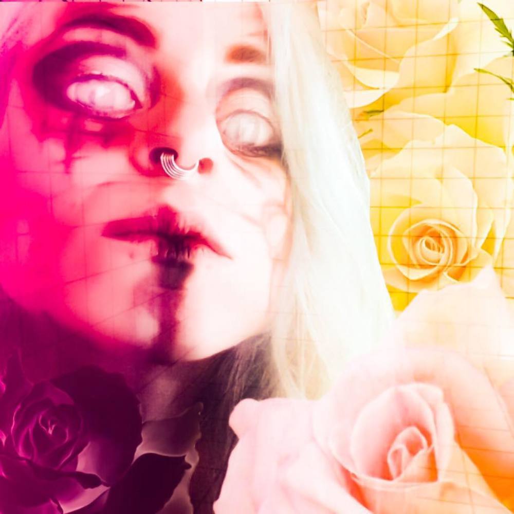 Meet your Posher, Nikita