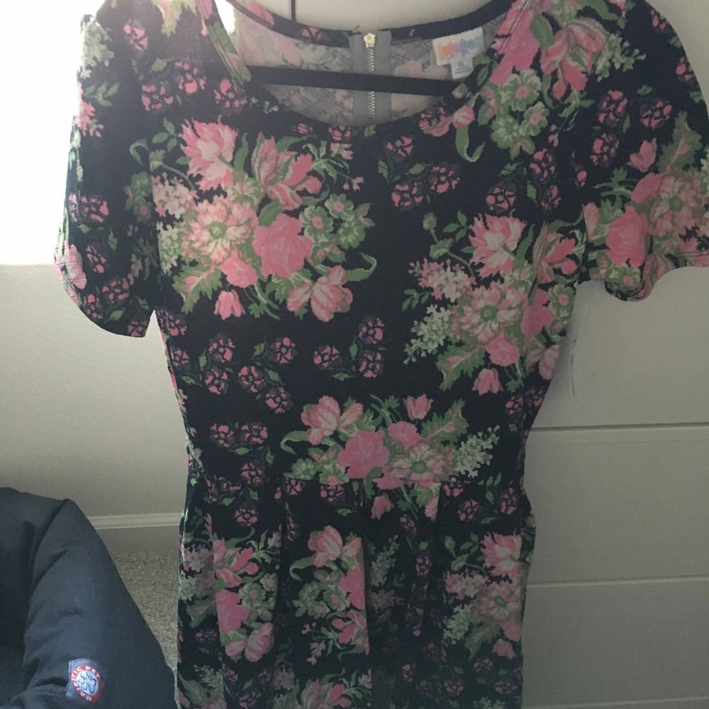 BNWT LuLaRoe Amelia Roses Floral Dress Spring