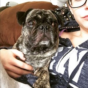 Meet your Posher, Haley